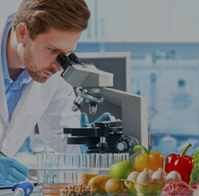 alimentopeuqeño